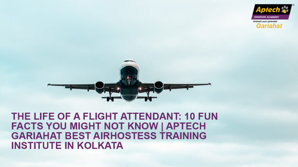 Life Of A Flight Attendant in 2022